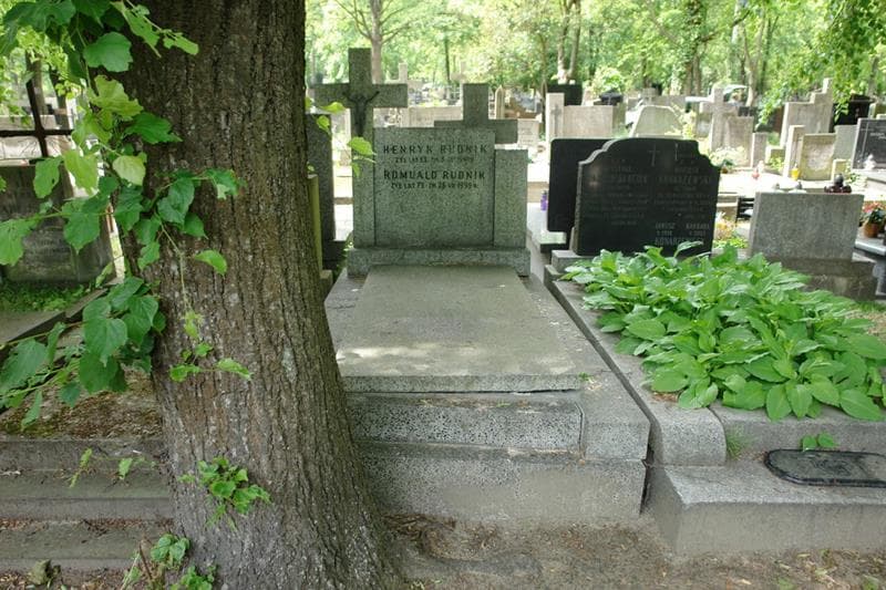 Zdjęcie grobu Henryk Rudnik (1)