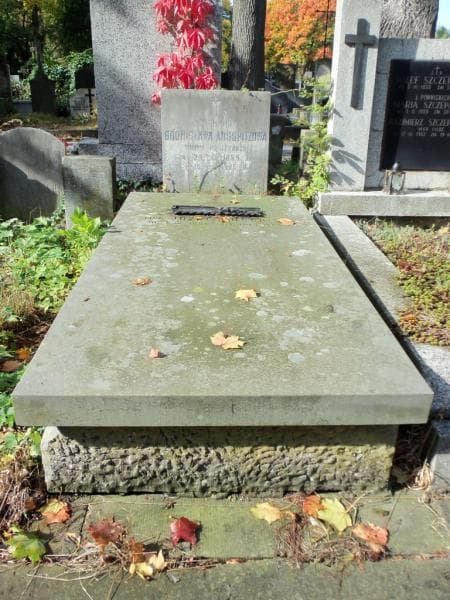 Zdjęcie grobu: Józef Ausspitz