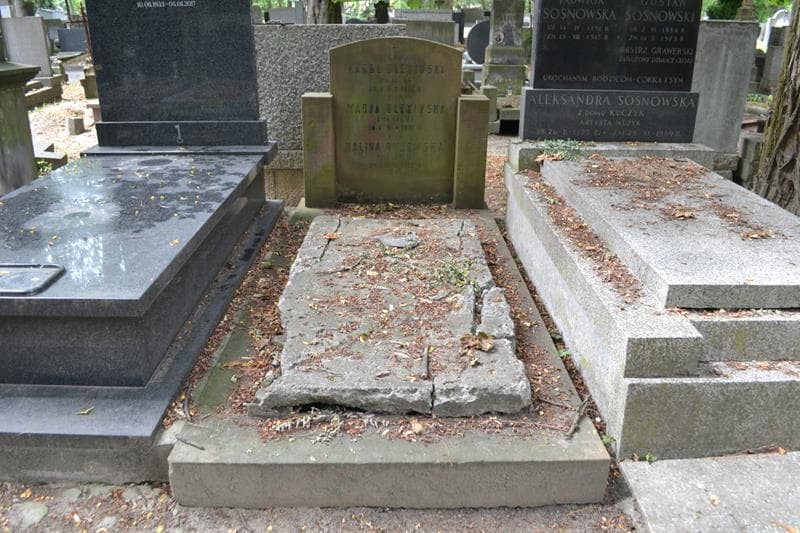 Zdjęcie grobu Karol Olexiński (1)