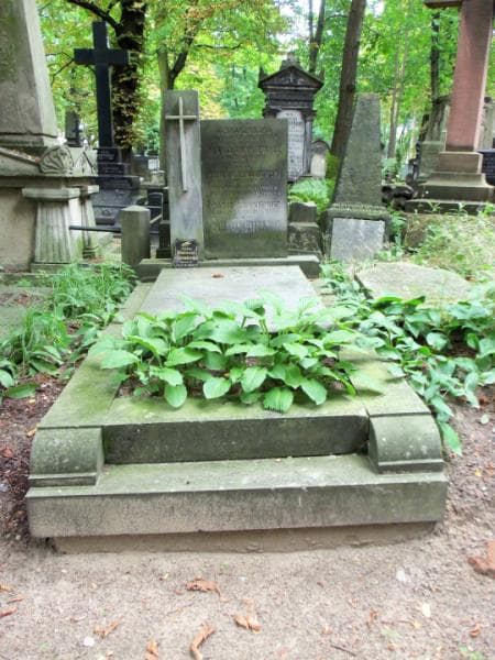 Zdjęcie grobu: Felicjan Lewandowski