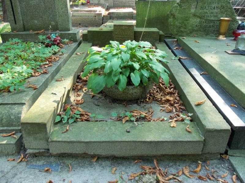 Zdjęcie grobu: Zygmunt Pohoski