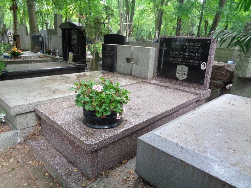 Zdjęcie grobu: Zenona Maraszek
