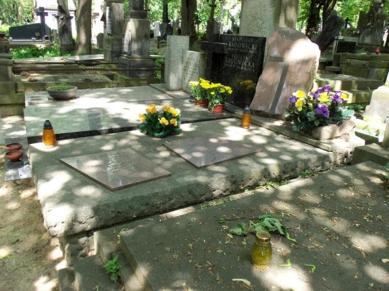 Zdjęcie grobu Stanisław Altenberger (1)