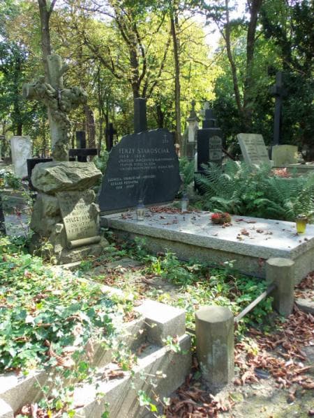 Zdjęcie grobu Jan Dylczyński (1)