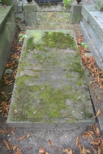 Zdjęcie grobu Marjanna Żygalińska (2)
