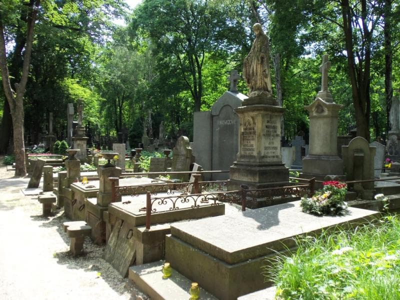 Zdjęcie grobu Marjanna Wasińska (1)