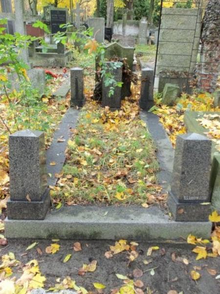 Zdjęcie grobu: Zygmunt Dworski