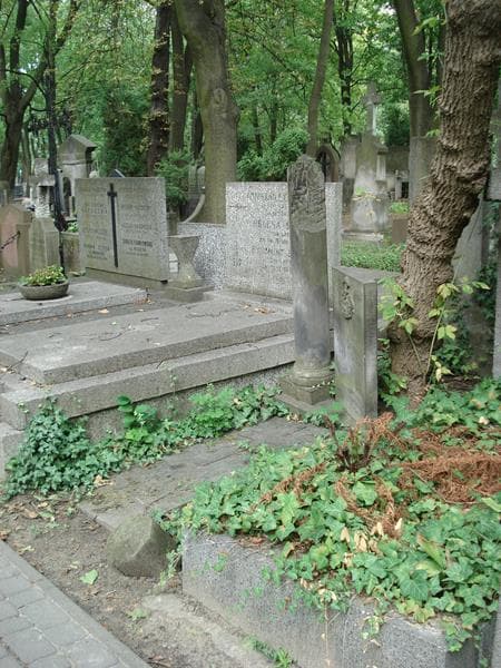Zdjęcie grobu: Jan Zygmunt Krzykowski