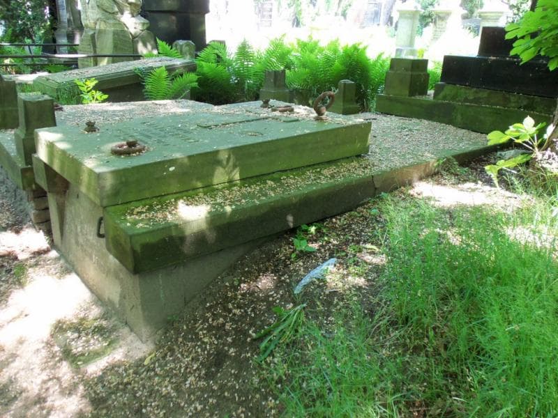 Zdjęcie grobu Stanisław Waligórski (1)