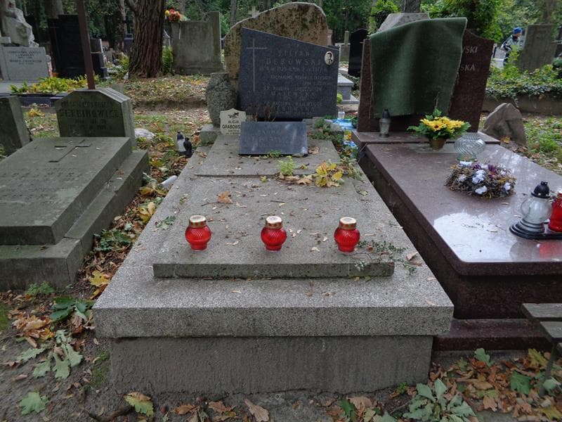 Zdjęcie grobu Stefan Dębowski (1)