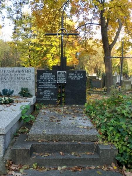 Zdjęcie grobu: Antonina Szczepańska
