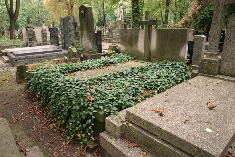 Zdjęcie grobu: Zbigniew Rajmund Wyganowski
