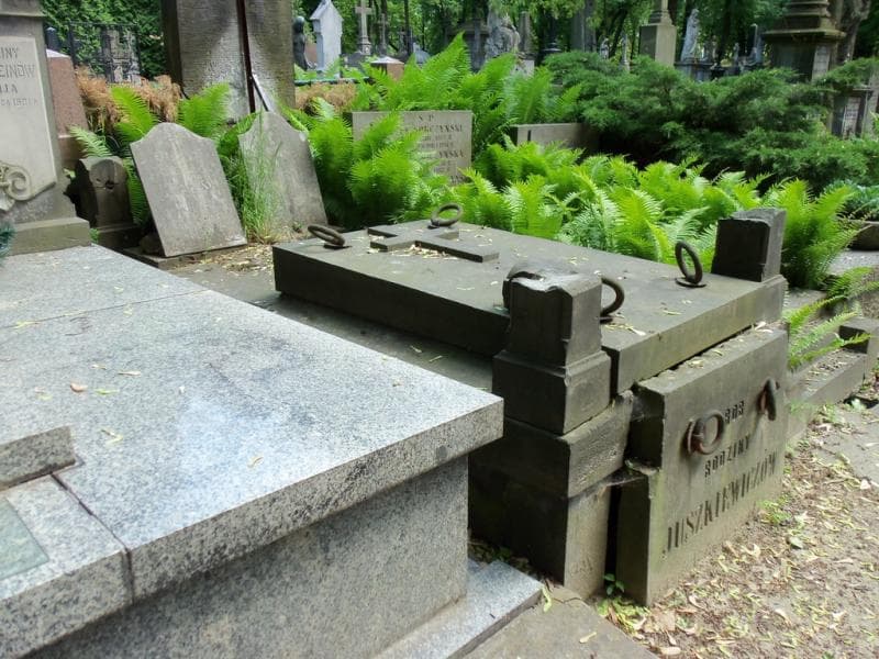 Zdjęcie grobu Jan Nepomucen Chełmoński (1)