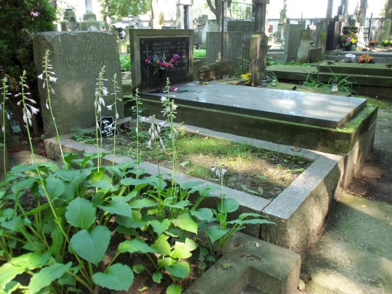 Zdjęcie grobu Tadeusz Grzeszczyk (1)
