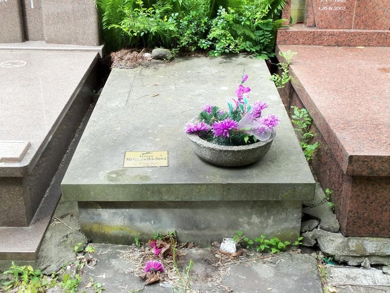 Zdjęcie grobu: Halina Frenkiel