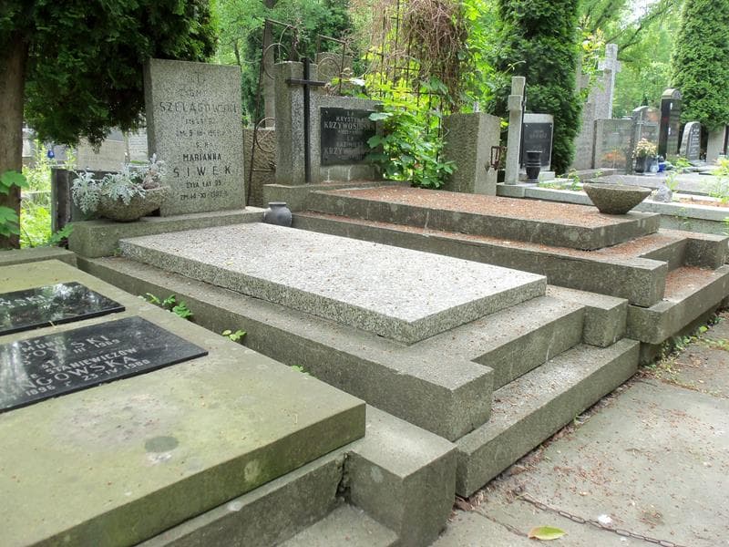 Zdjęcie grobu Zygmunt Szelągowski (1)