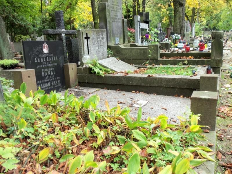 Zdjęcie grobu Marian Bakal (1)