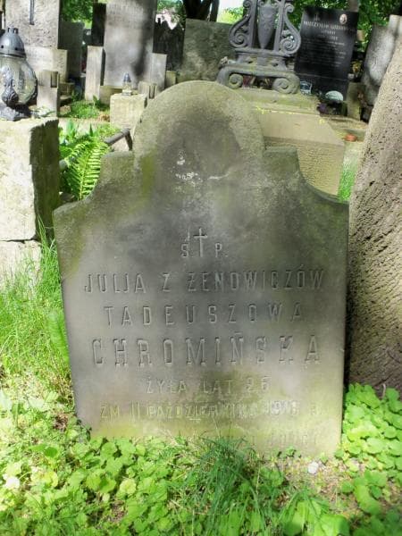 Zdjęcie grobu Julja Chromińska (1)