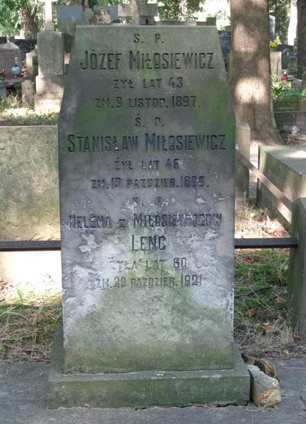 Zdjęcie grobu Aleksander Ciniselli (2)