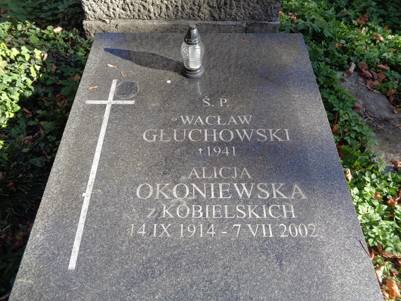 Zdjęcie grobu Wacław Głuchowski (2)