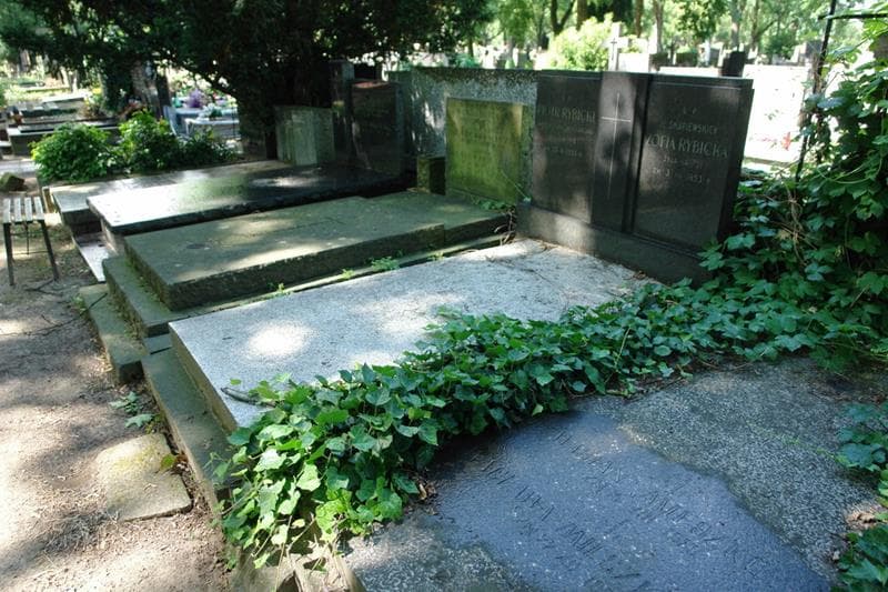 Zdjęcie grobu: Zofia Rybicka