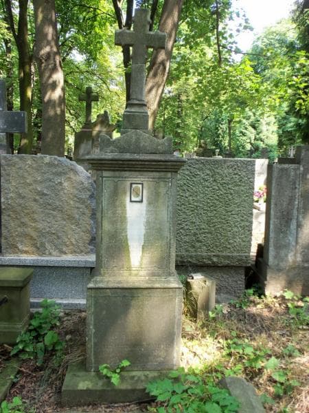 Zdjęcie grobu Julian Walenty Lis Rudnicki (2)