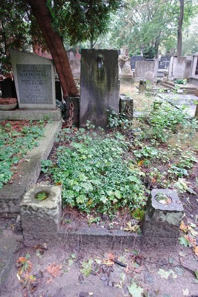 Zdjęcie grobu Bolesław Szkopowski (1)