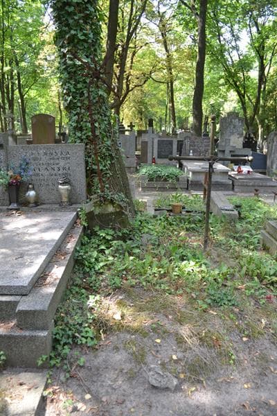 Zdjęcie grobu ... Ulatowska (1)