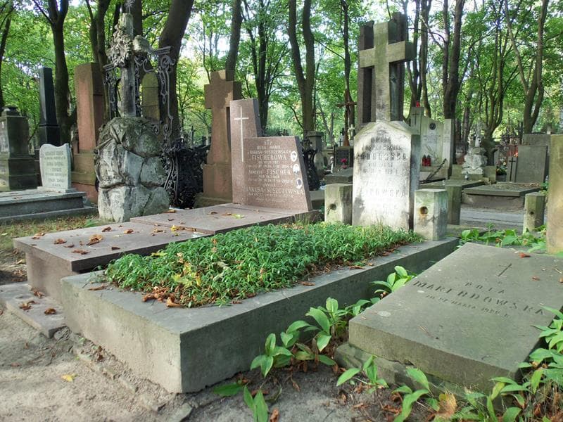 Zdjęcie grobu Marja Podgórska (1)