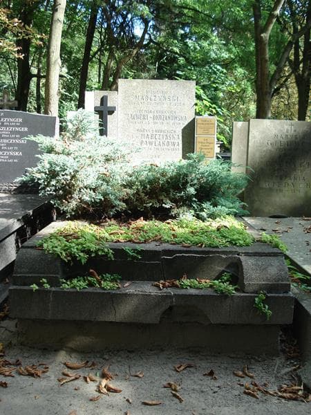Zdjęcie grobu: Jan Pawlak