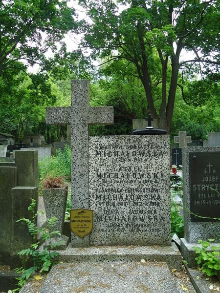 Zdjęcie grobu Adolf Michałowski (2)