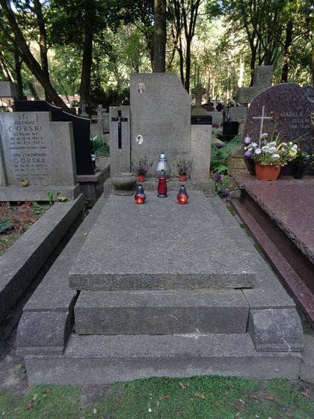 Zdjęcie grobu Teodozja Danuta Majewska (1)
