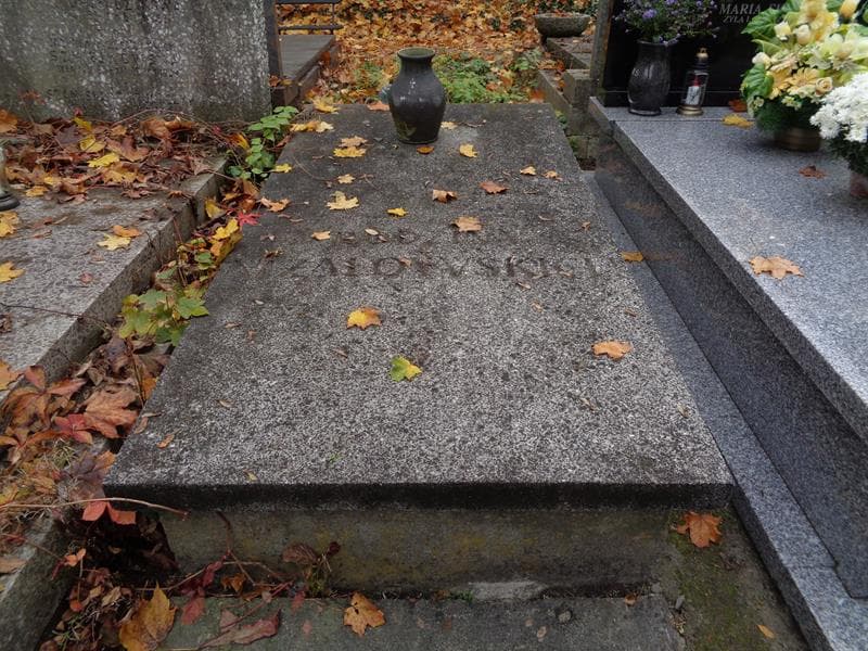 Zdjęcie grobu Niżałowscy (1)