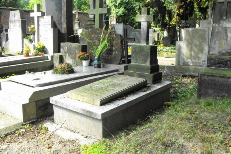 Zdjęcie grobu Aleksander Koźmiński (1)