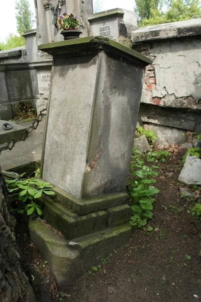 Zdjęcie grobu: Apolonia Tarnowska