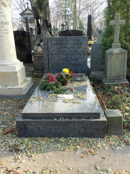 Zdjęcie grobu: Leon Polanowski