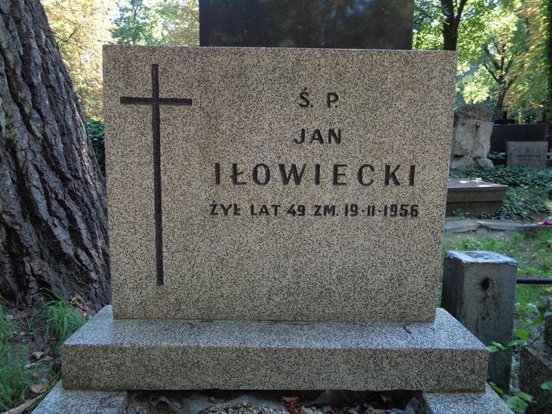 Zdjęcie grobu Jan Iłowiecki (2)