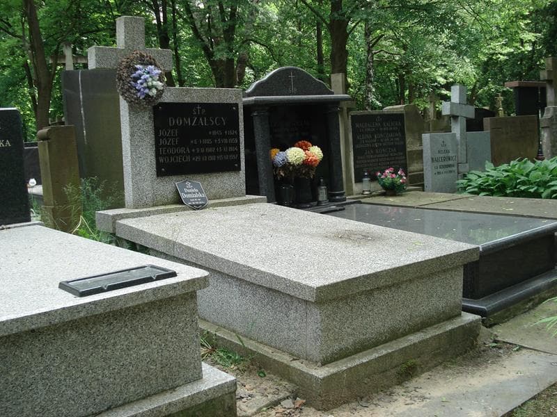 Zdjęcie grobu Józef Domżalski (1)