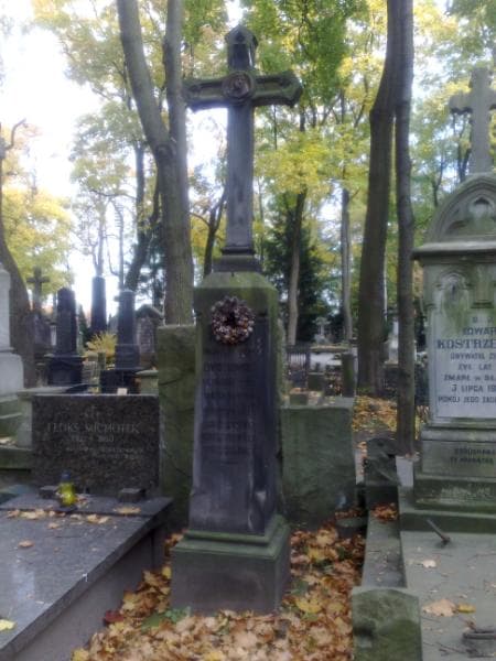 Zdjęcie grobu Franciszek Salezy Dmochowski (1)