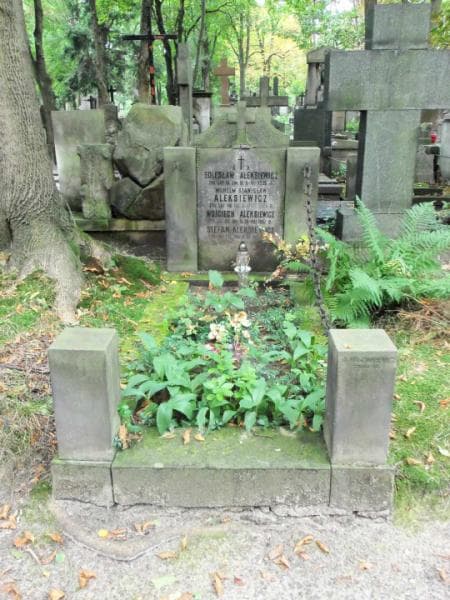 Zdjęcie grobu: Bolesław Aleksiewicz