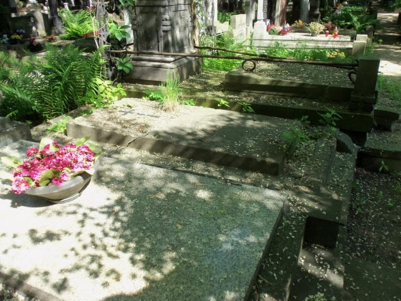 Zdjęcie grobu Janina Goldring (1)