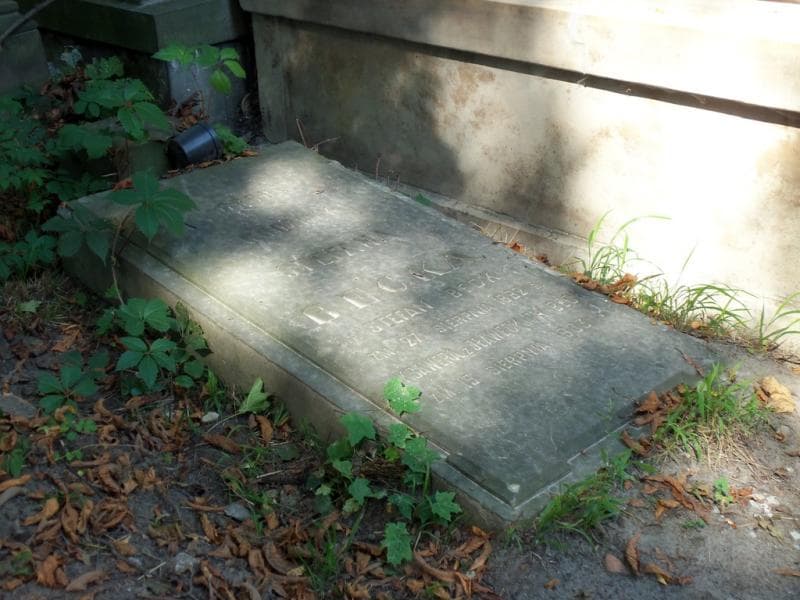 Zdjęcie grobu Stefan Beck (2)