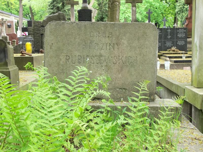 Zdjęcie grobu Rubieszewscy (2)