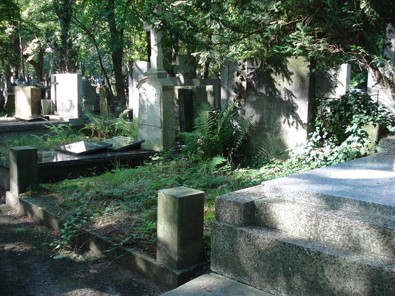 Zdjęcie grobu Stanisława Lenkiewiczówna (1)