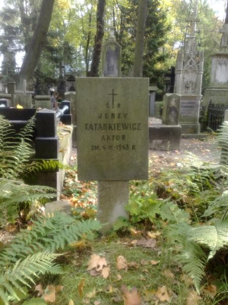 Zdjęcie grobu Jerzy Tatarkiewicz (1)
