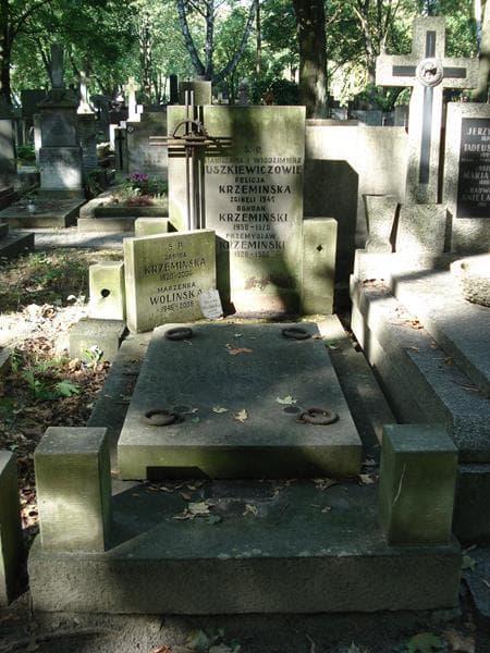 Zdjęcie grobu Przemysław Krzemiński (1)