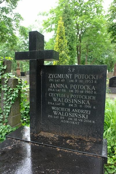 Zdjęcie grobu Cecylia Walosińska (2)
