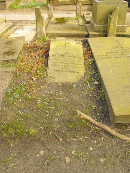 Zdjęcie grobu: Kazimierz Tycz