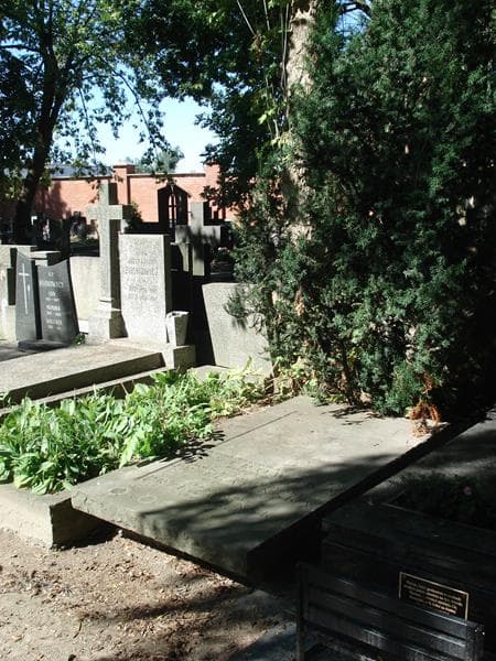 Zdjęcie grobu Aleksander Przegaliński (1)