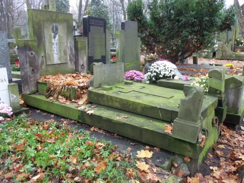 Zdjęcie grobu Wiktor Biernacki (1)
